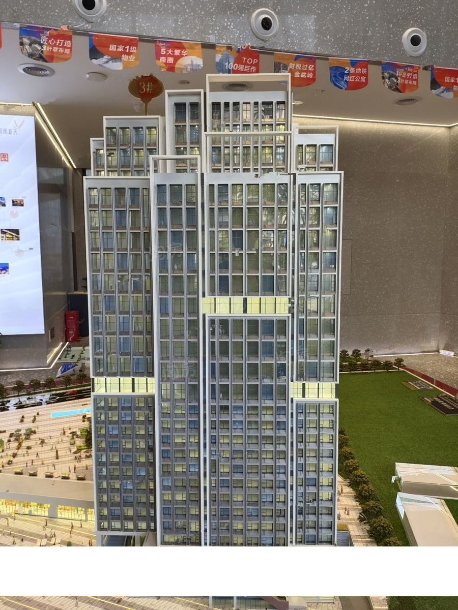 力高凤凰新天实景图