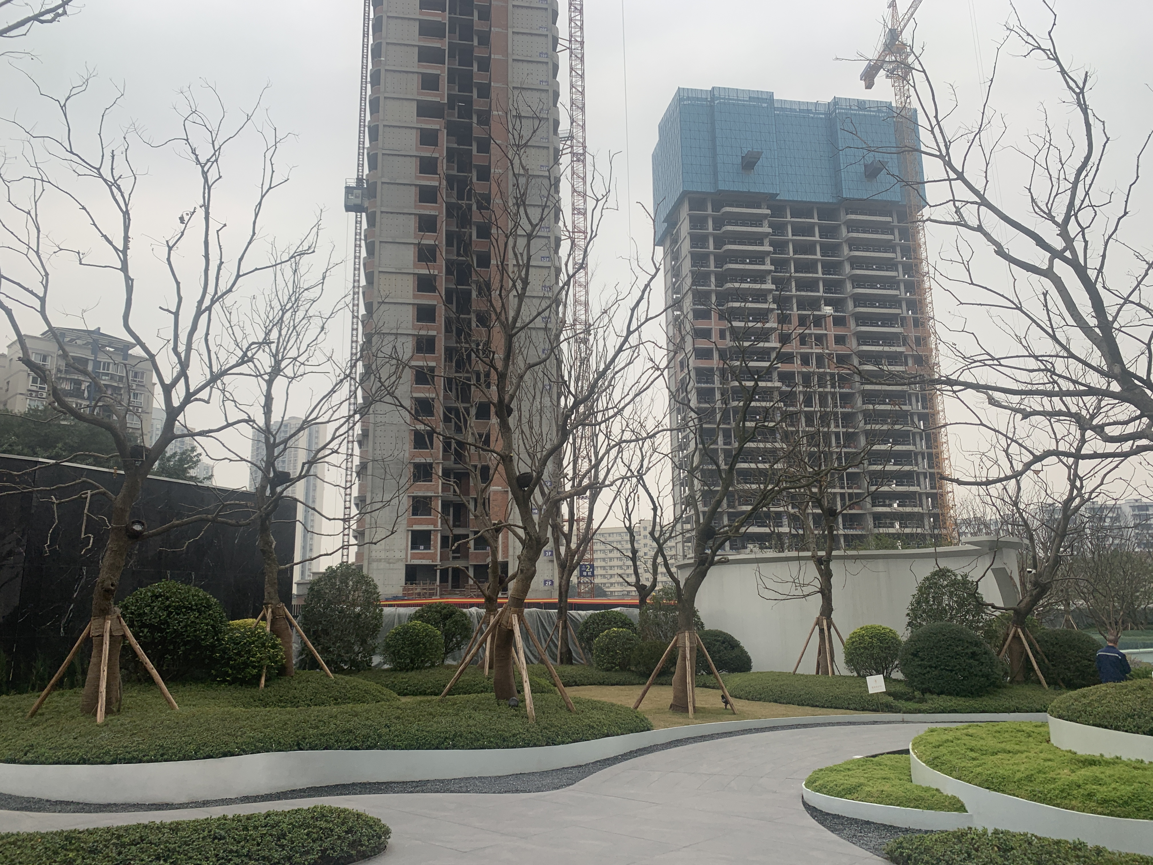 新希望D10天际实景图