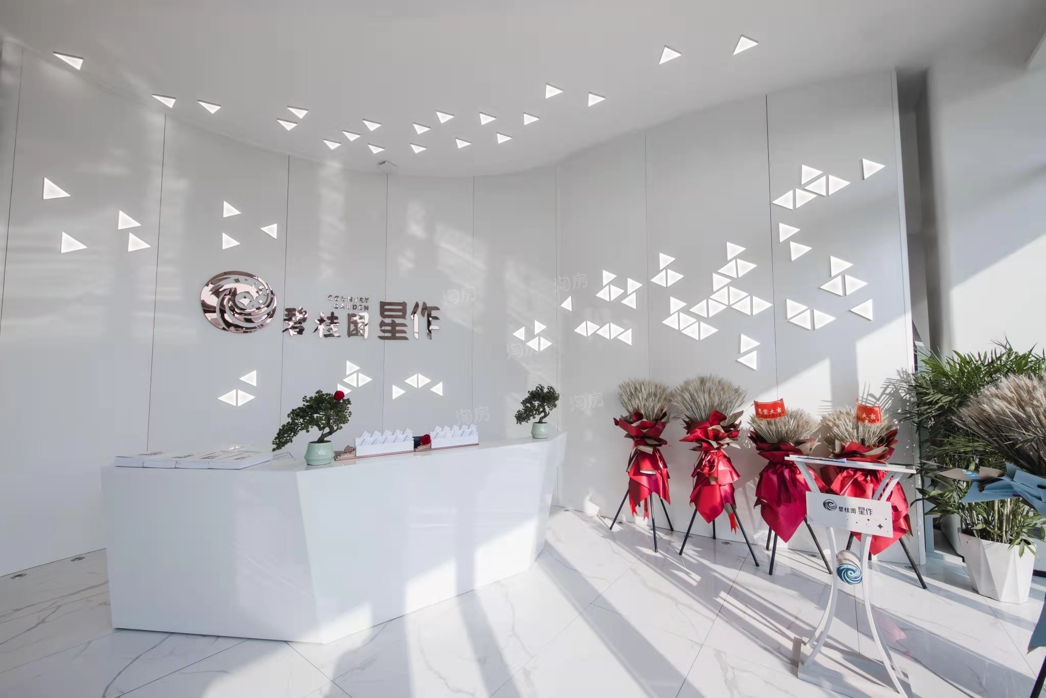 碧桂园·星作综合实力较高！碧桂园·星作房子值得购买吗？