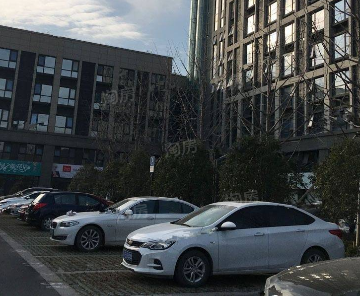 实景图