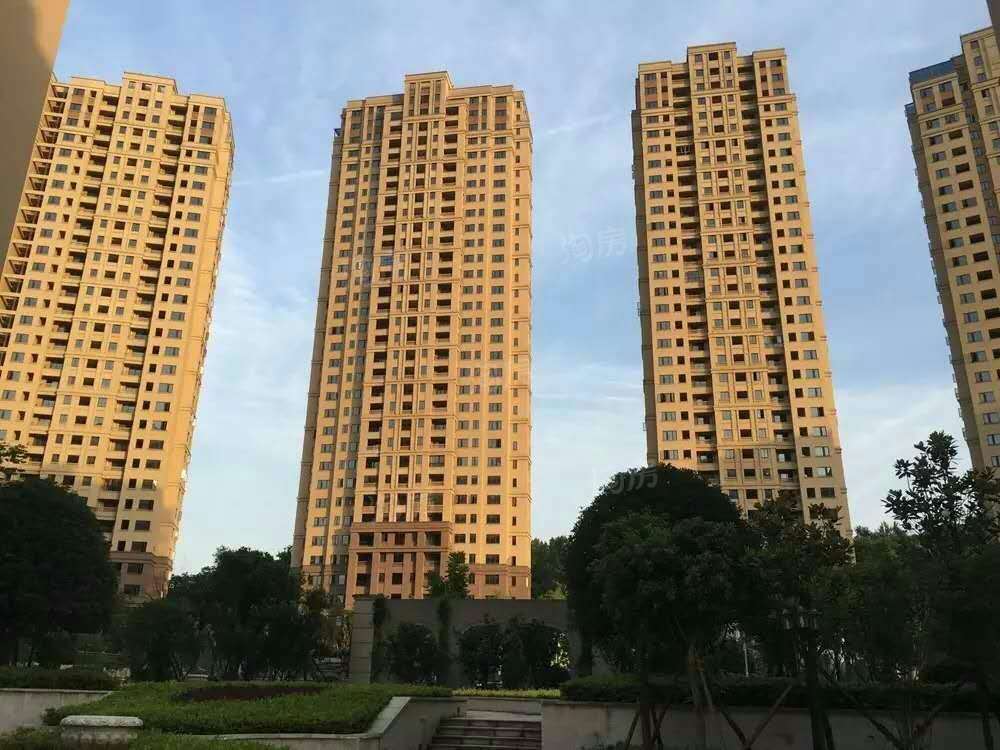 实景图