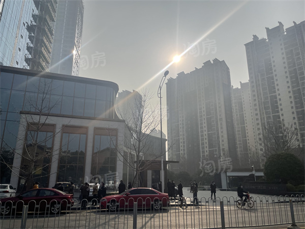 实景图
