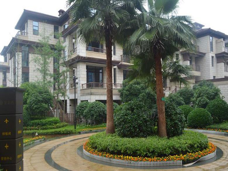 大唐印象实景图