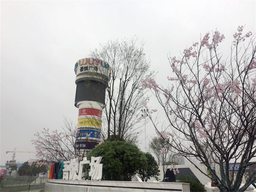 长房东旭国际配套图