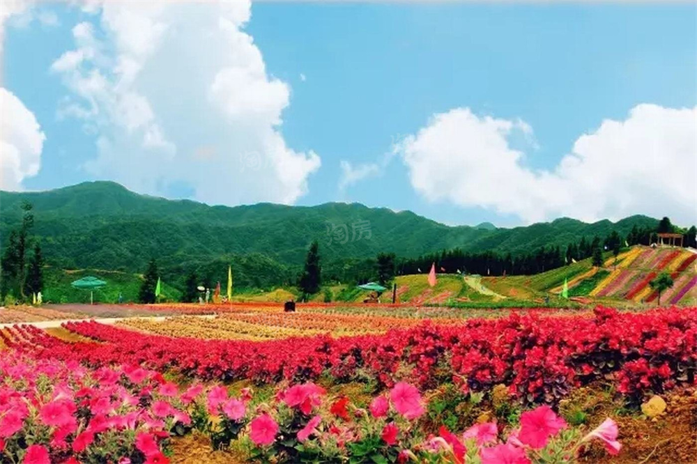 重庆石柱碧桂园天麓府_石柱碧桂园天麓府楼盘_户型_均价-重庆淘房网