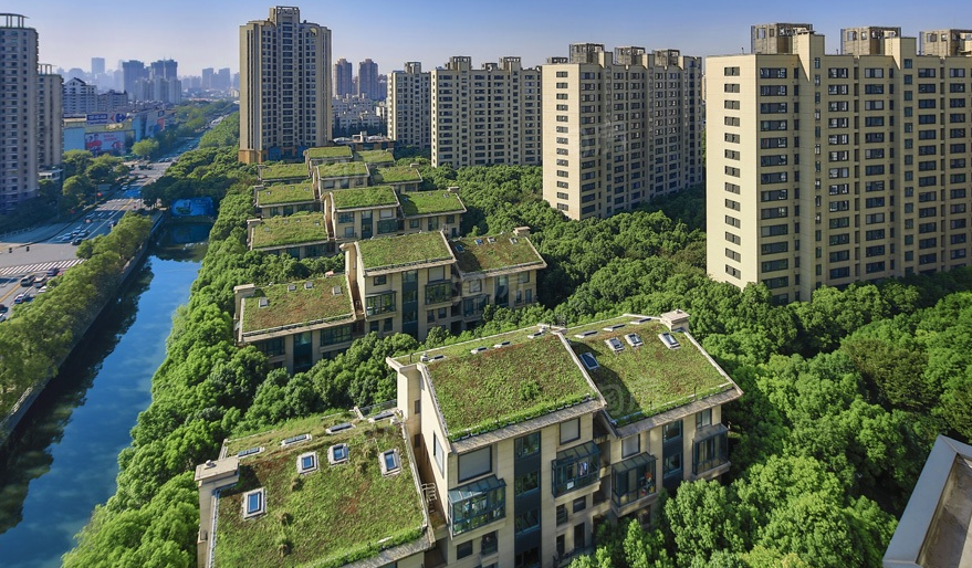中鹰黑森林