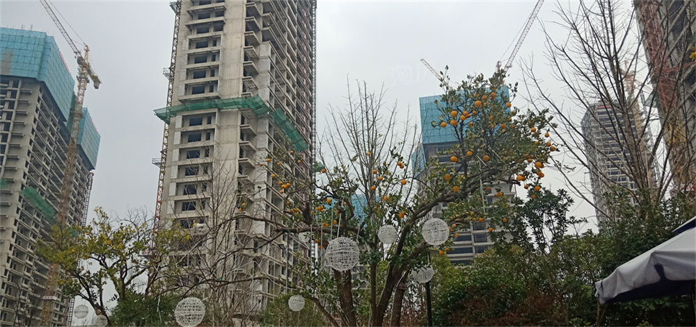 滨湖天地实景图