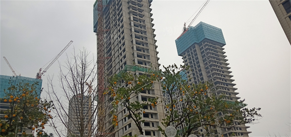 滨湖天地实景图