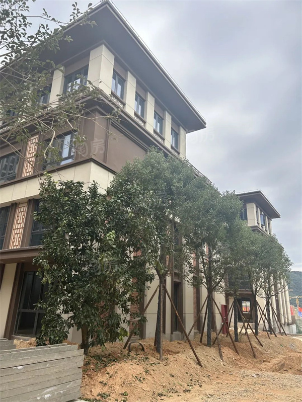 南安武夷时代天越