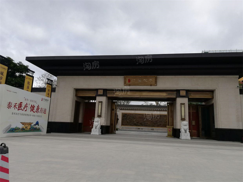 泰禾世茂汀溪院子实景图
