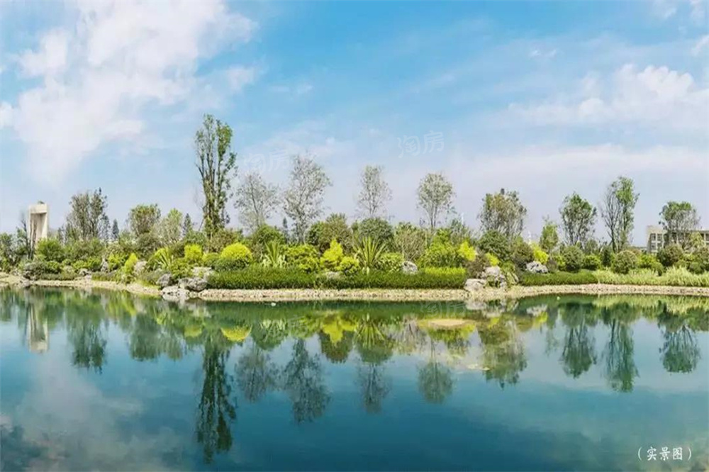 泰禾世茂汀溪院子配套图