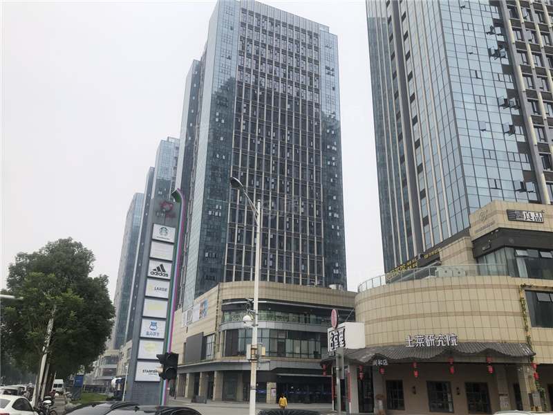 城投揽江院子配套图