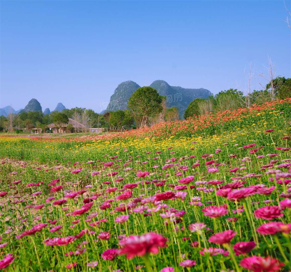 桂林山水里实景图