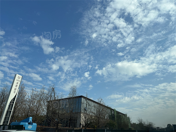 实景图