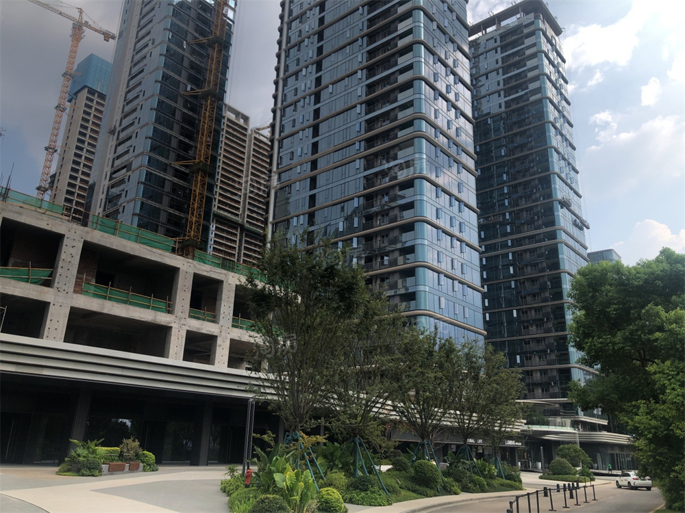 绿城凤起麓鸣实景图