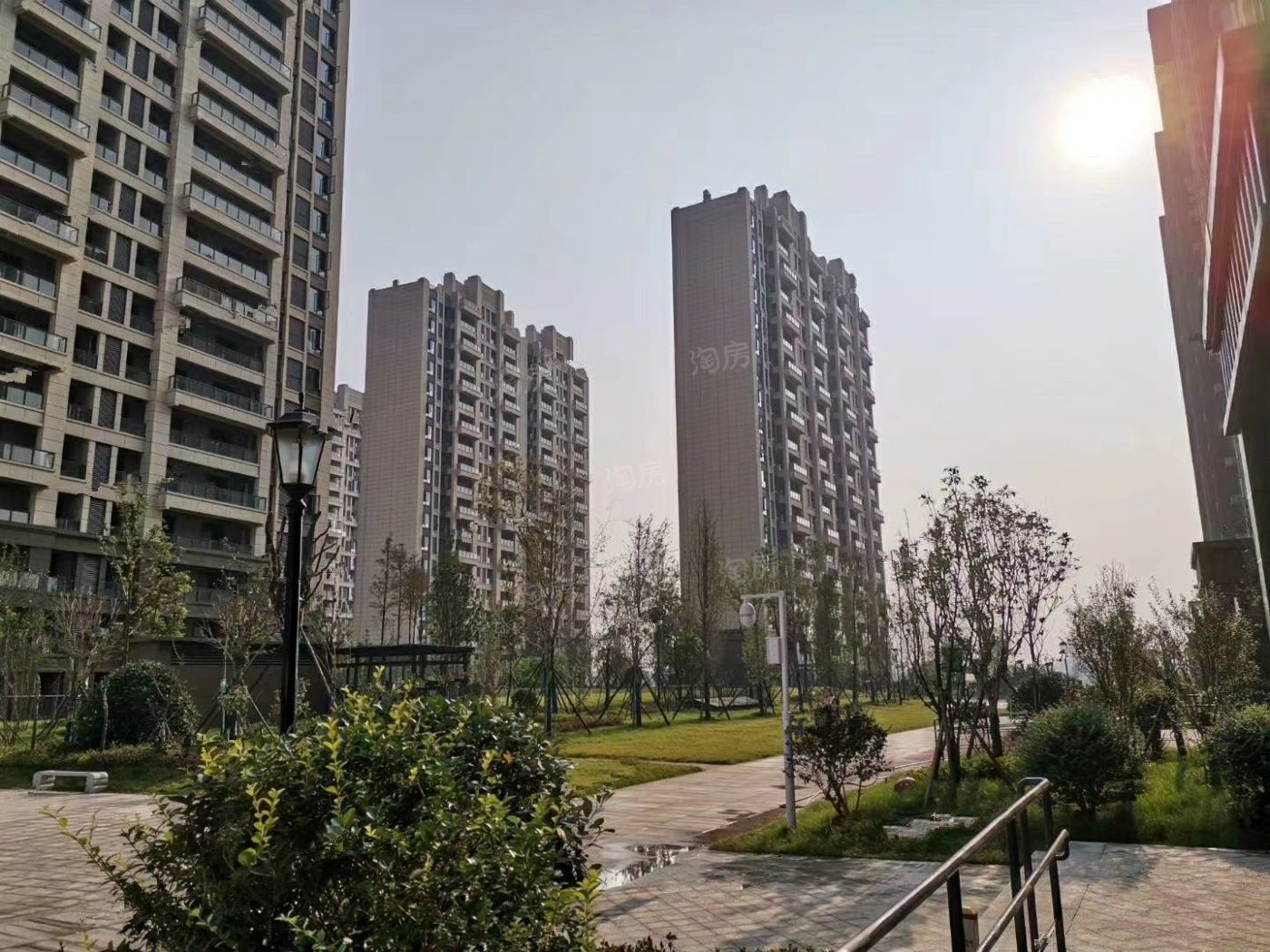 实景图