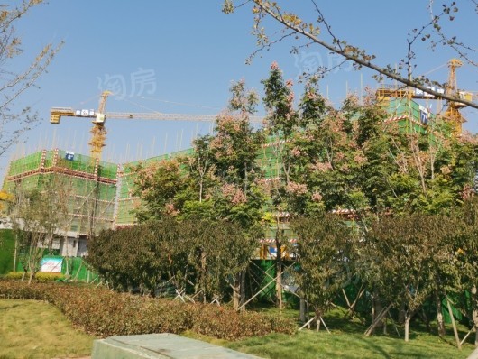 潍坊商谷项目1期在建楼栋
