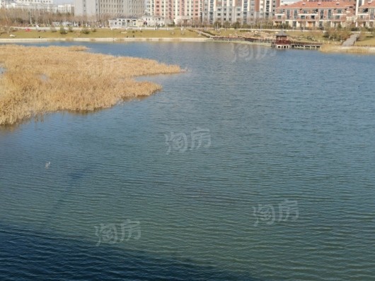 潍坊商谷项目一期西50米沿河景观带
