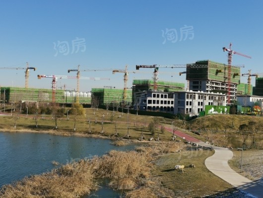 潍坊商谷项目一期主体施工进度