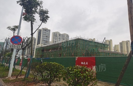 实景图
