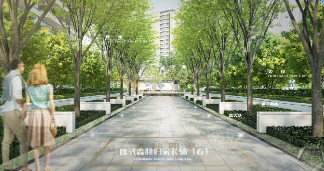 梦想山悦和鸣效果图