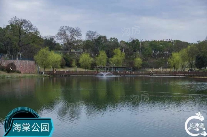 天城上和珺配套图