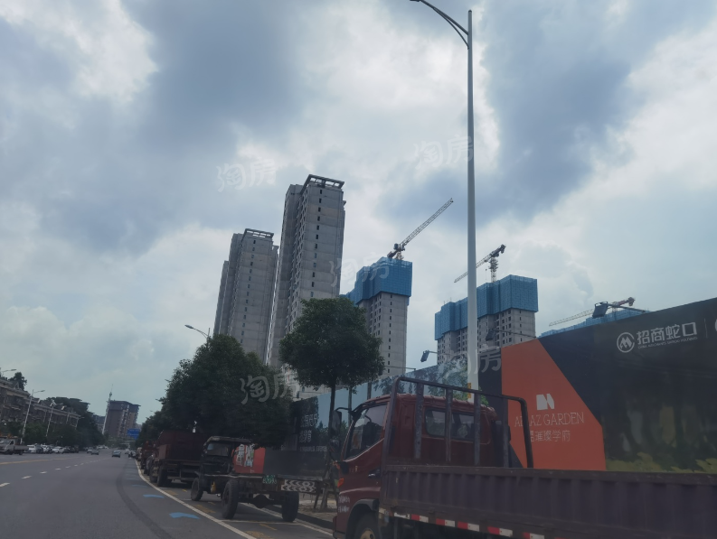 实景图