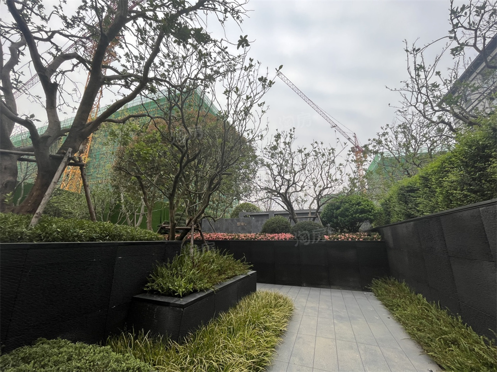 万科森林公园实景图
