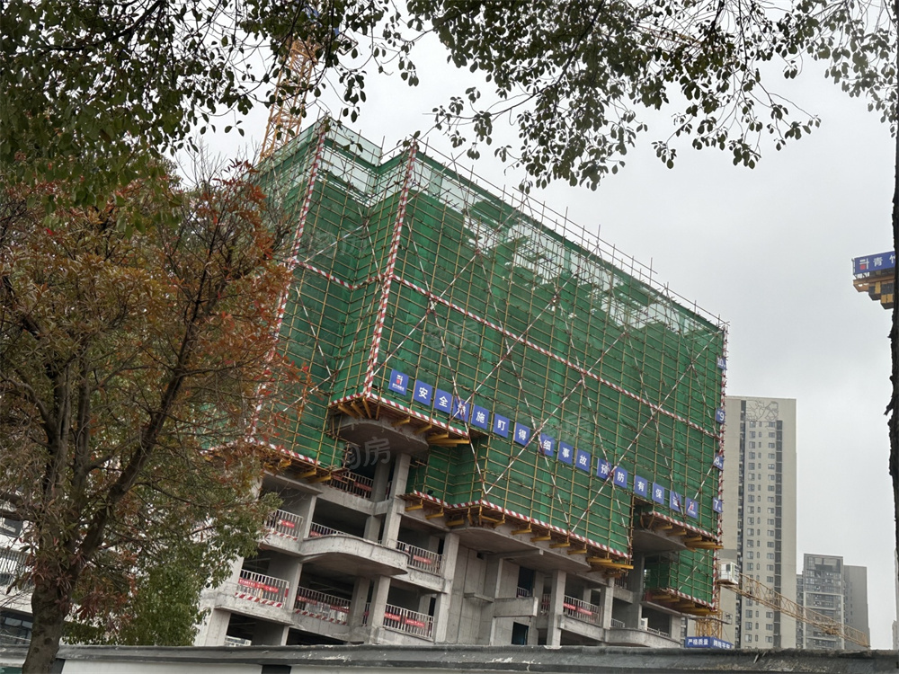 城投揽江院子实景图