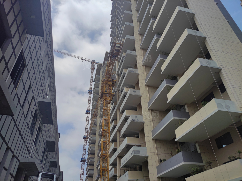 上置绿洲雅宾利实景图