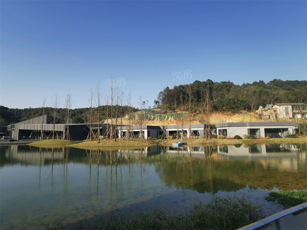 万科森林公园实景图