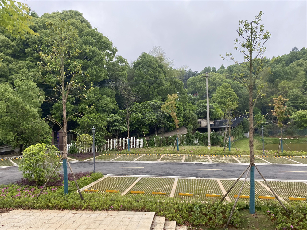 地铁中建·玖樾府配套图