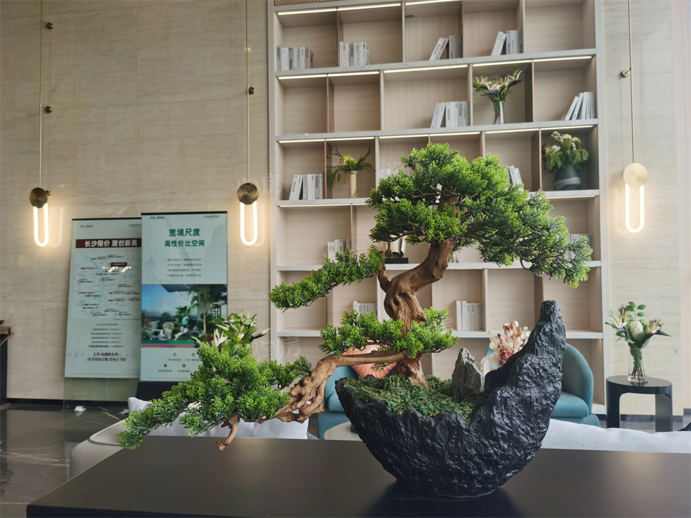 上置绿洲雅宾利实景图