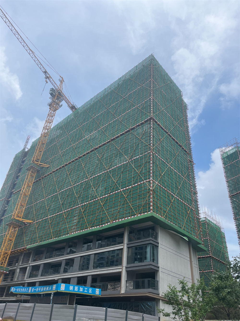 万科森林公园实景图