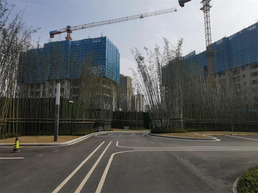万科森林公园实景图