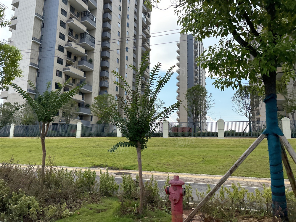 上置绿洲雅宾利实景图