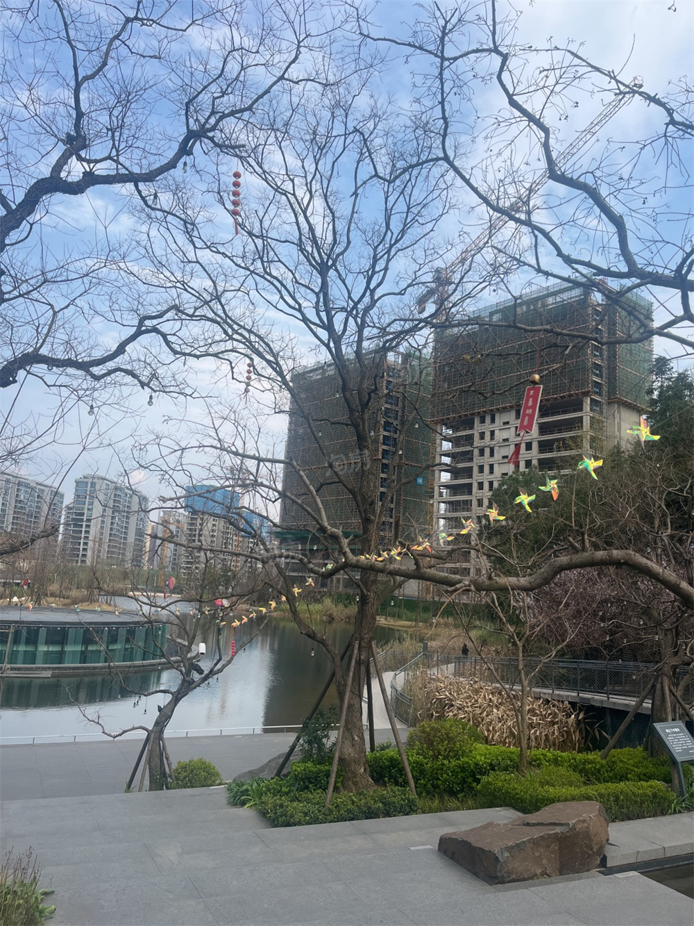 万科森林公园实景图