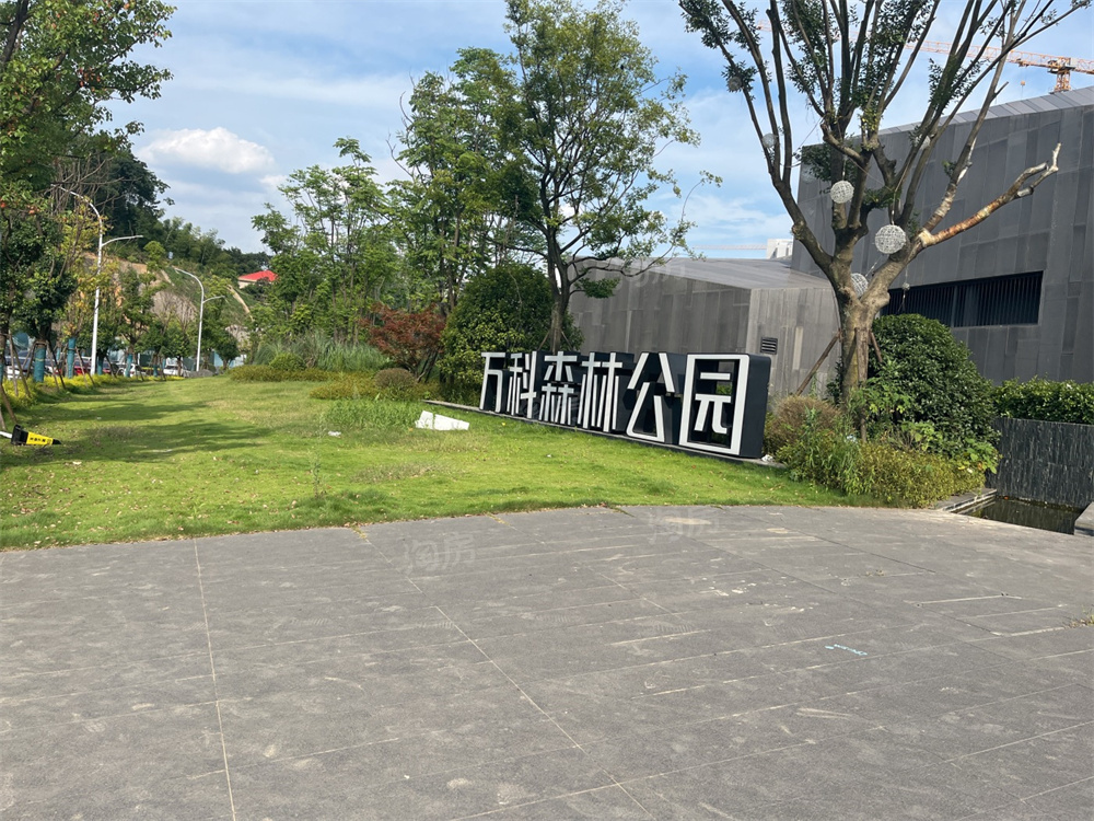 万科森林公园实景图