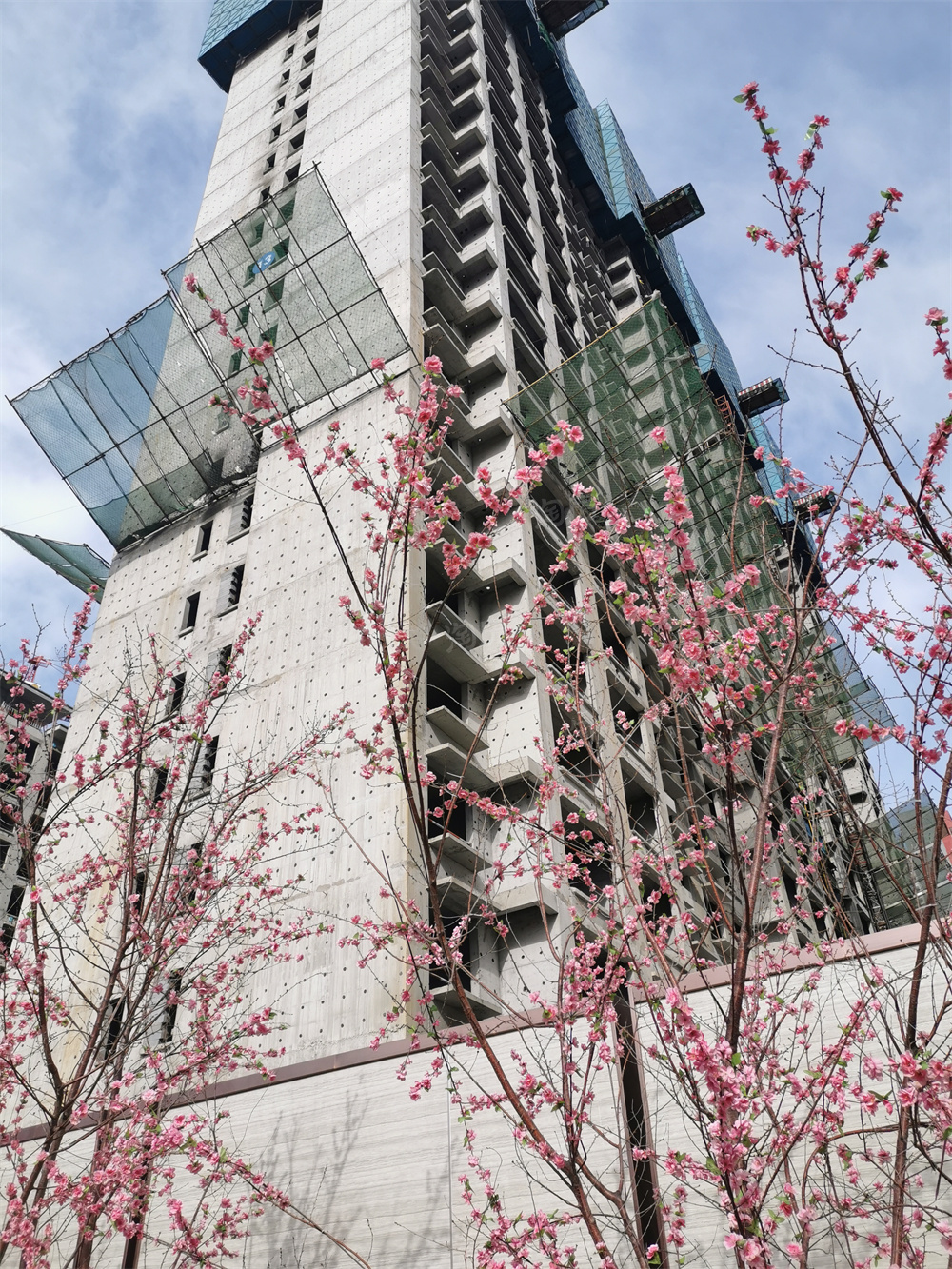 秋实·学院里价格性价比高 秋实·学院里开启美好生活新体验