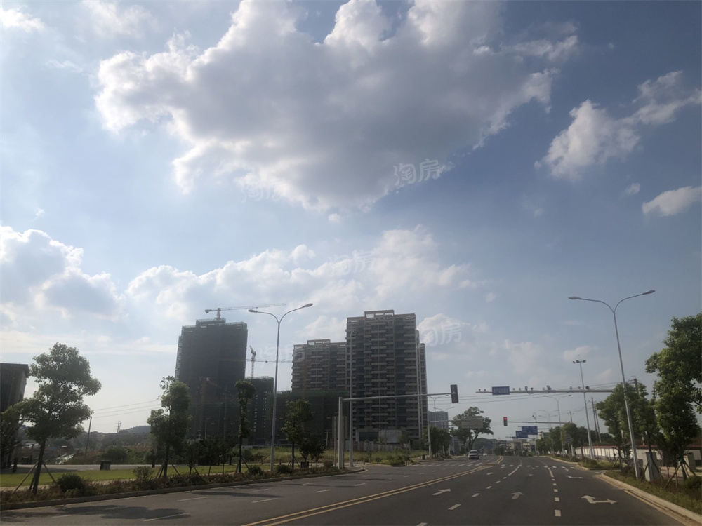 上置绿洲雅宾利实景图