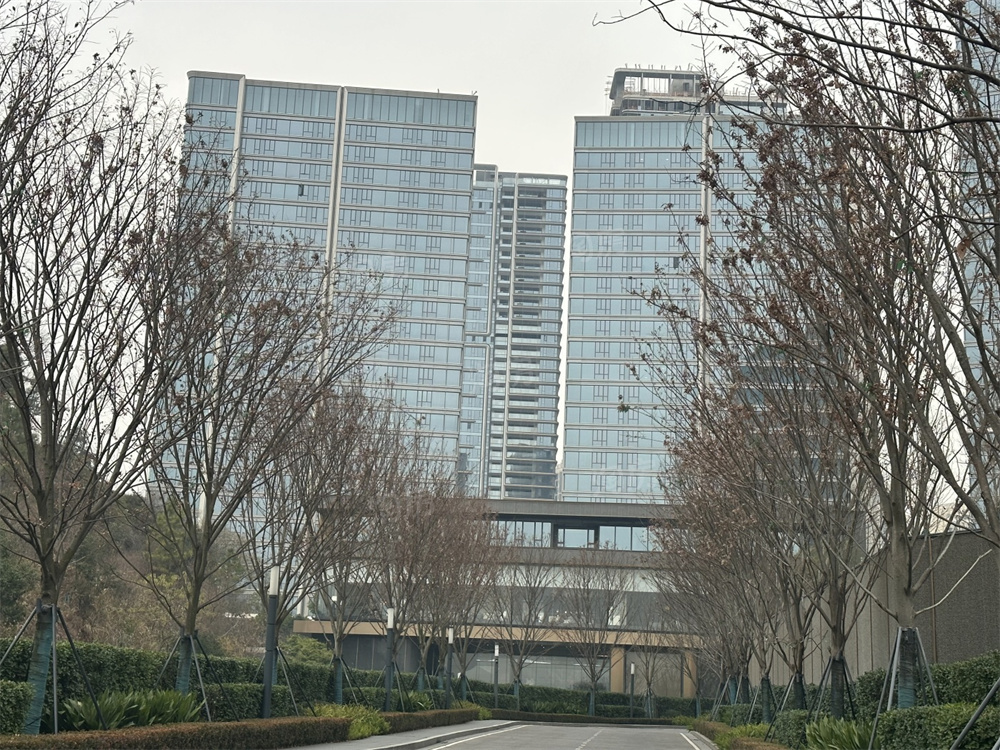中海阅湘台实景图