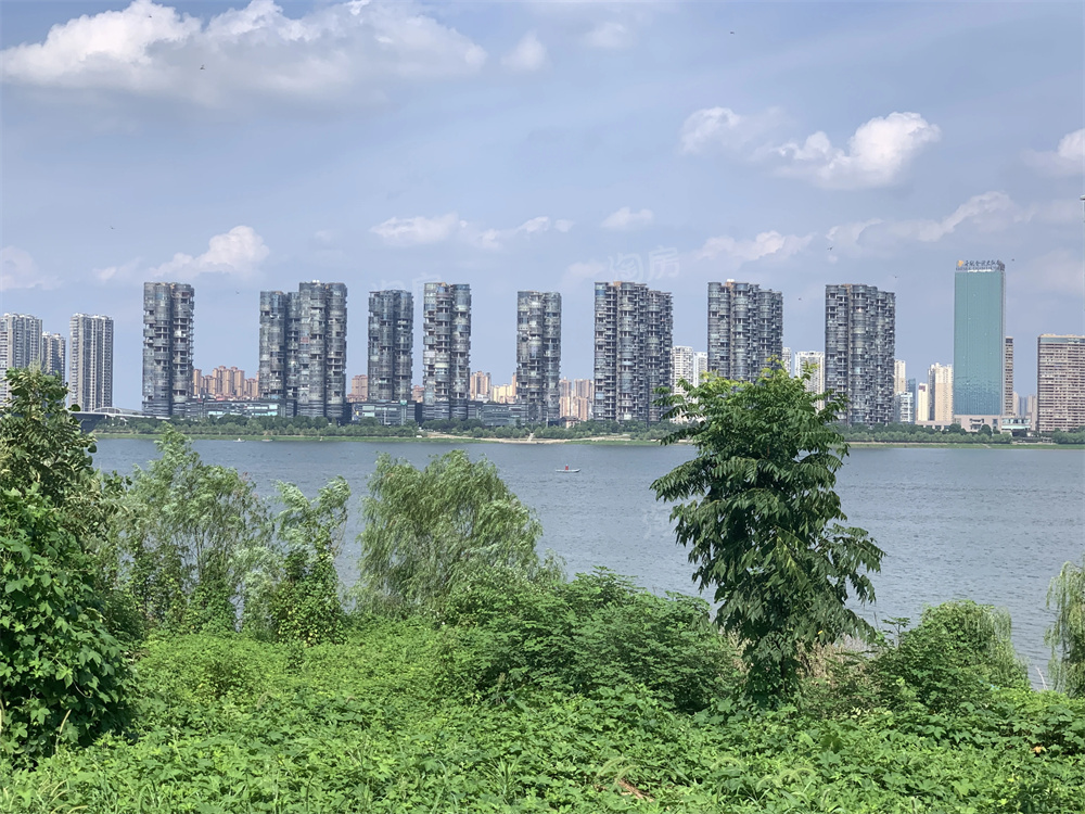 旭辉·铂悦湘江配套图