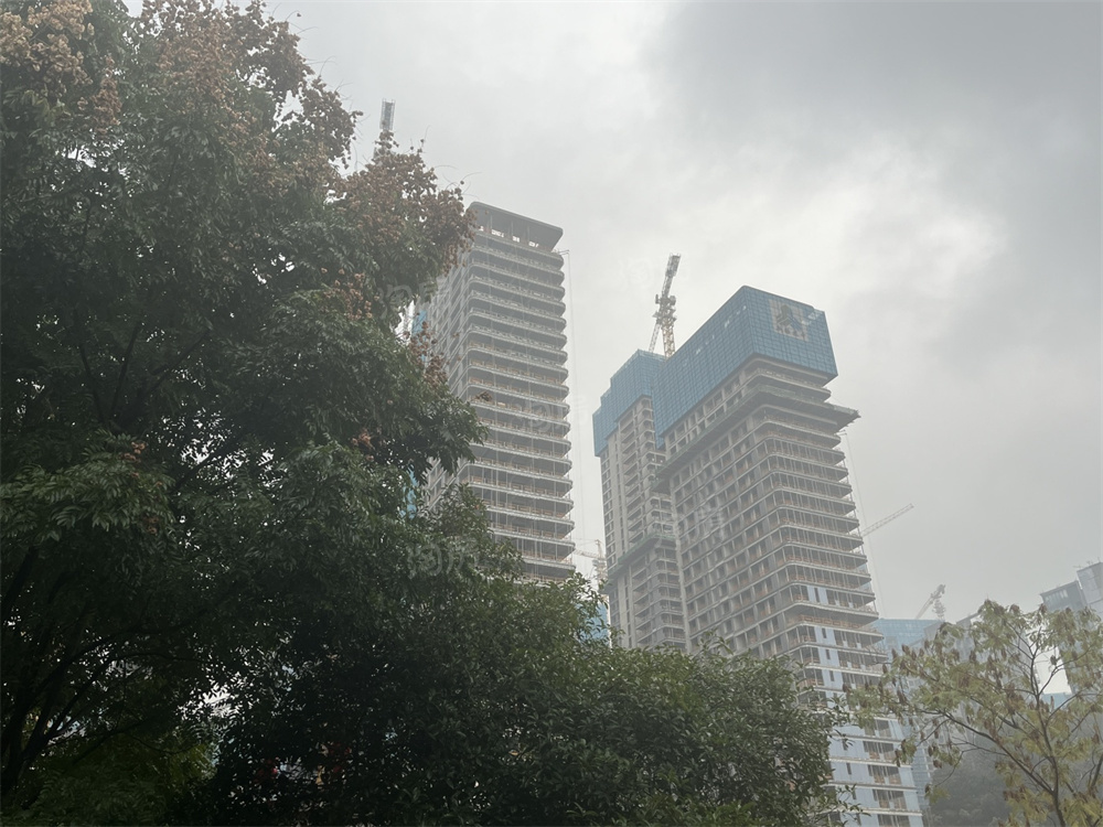 绿城凤起麓鸣实景图