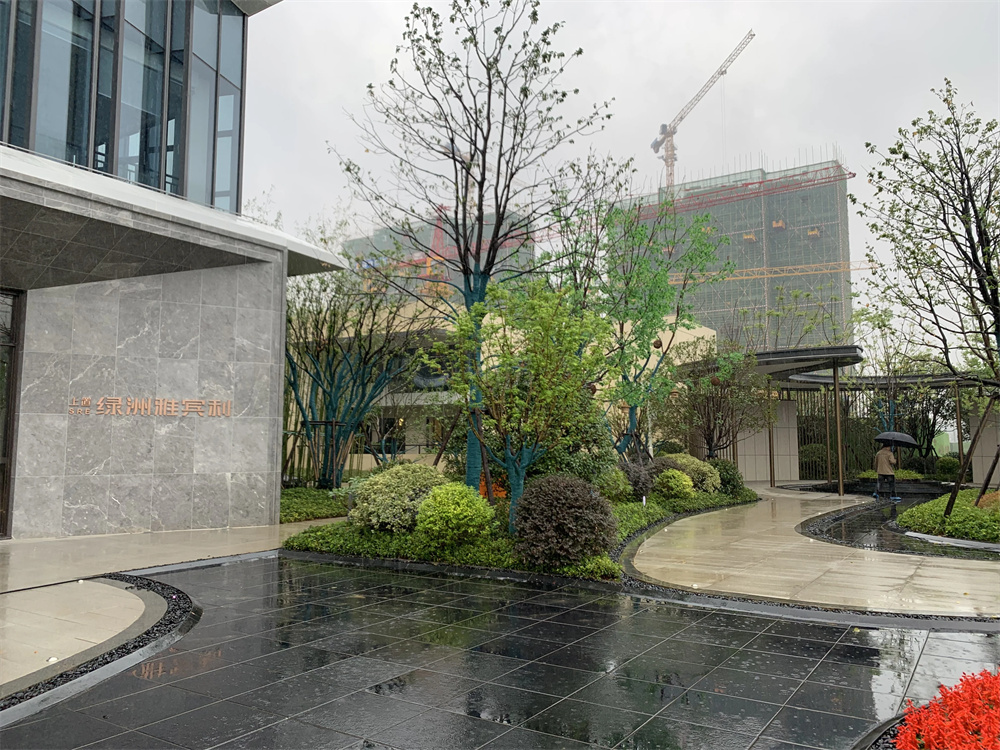 上置绿洲雅宾利实景图