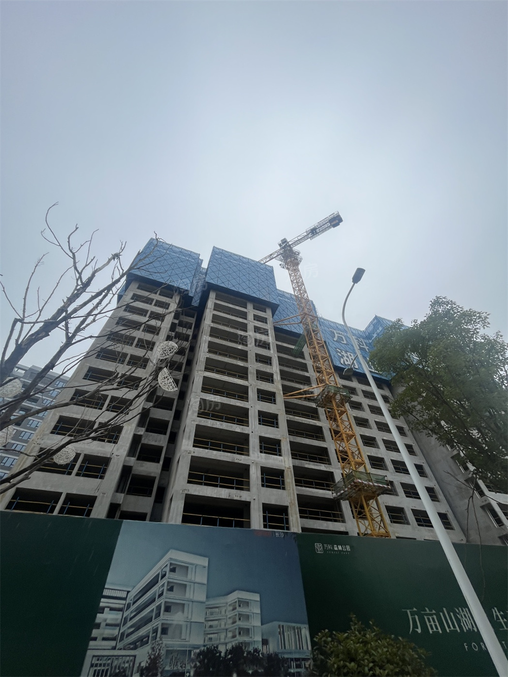 万科森林公园实景图