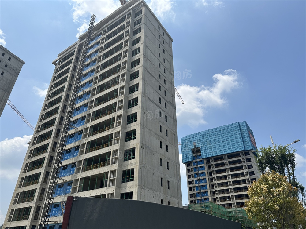 卓越朗宋实景图