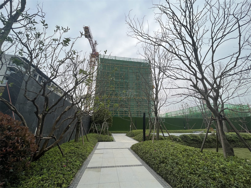 万科森林公园实景图