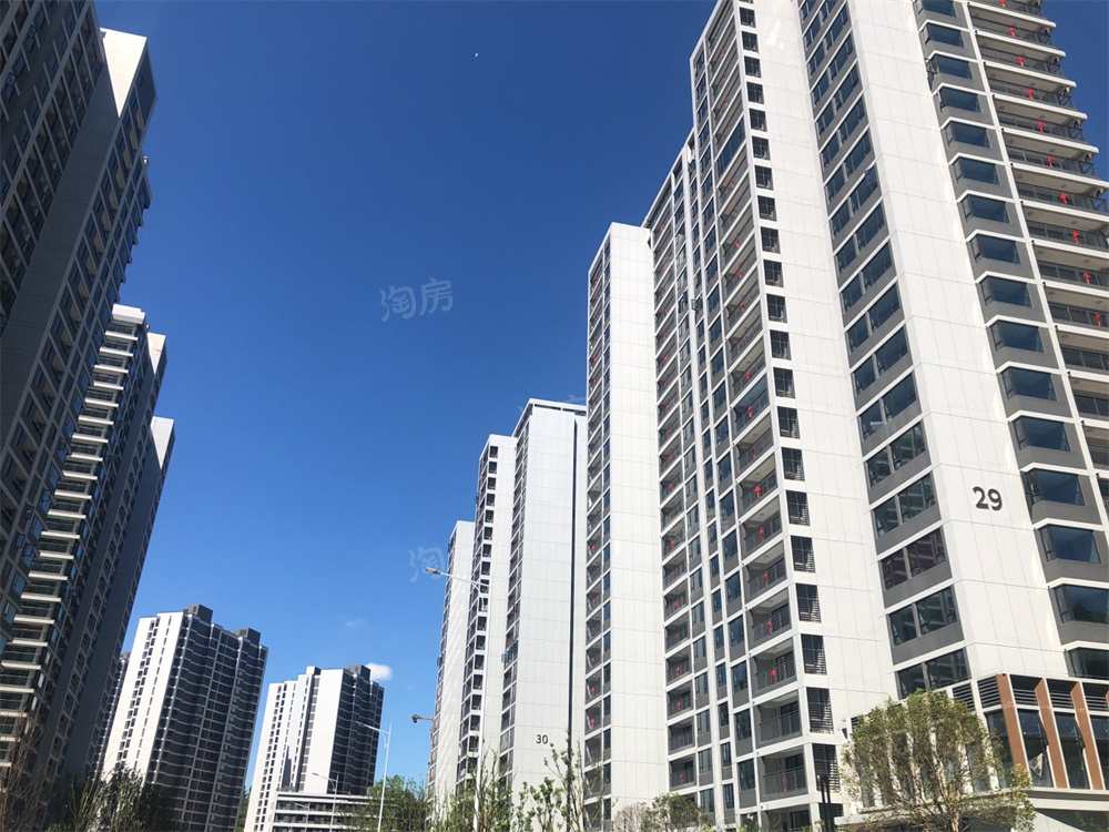 万科森林公园实景图