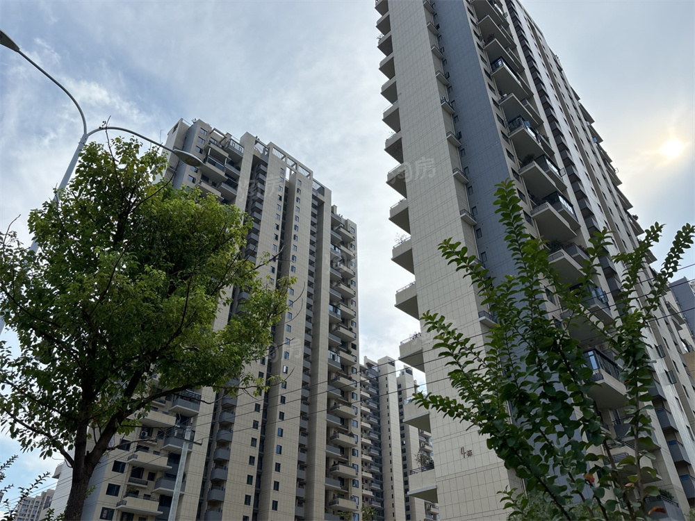 上置绿洲雅宾利实景图