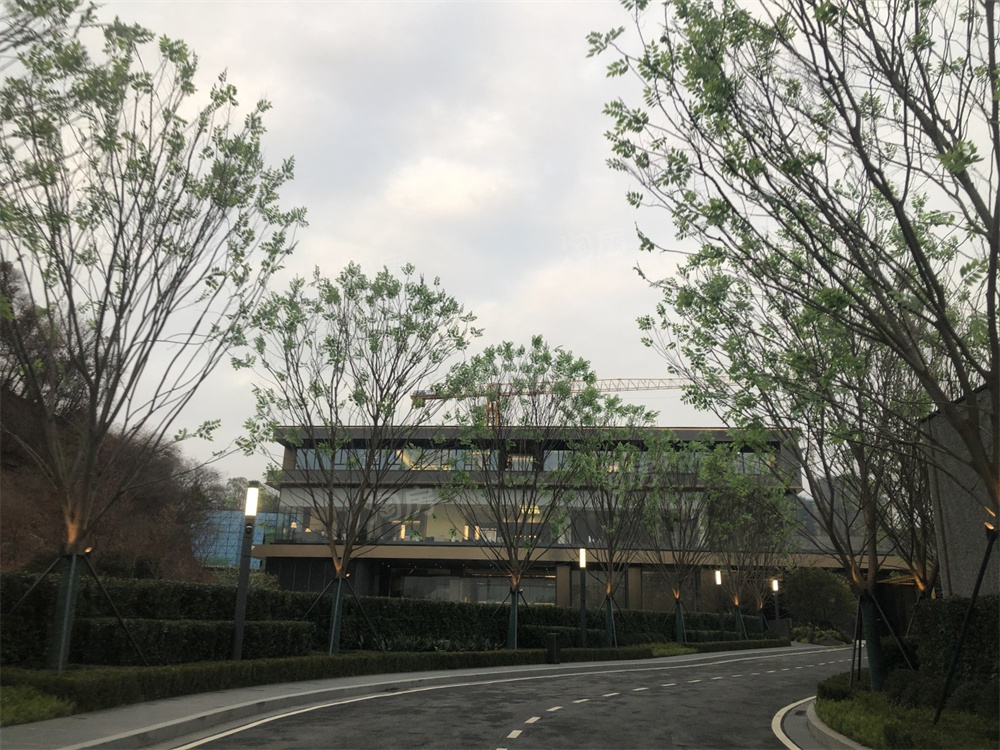 中海阅湘台实景图